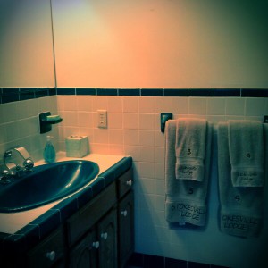 Bathroom to maser suite with numbered towels for your convenience.